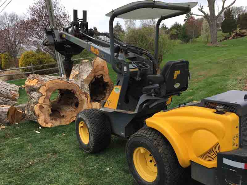 Tree specialists in Watertown, CT