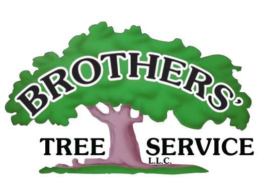Brothers' Tree Service, LLC