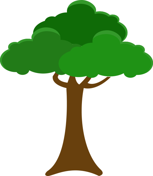 Tree planting service in Watertown, CT