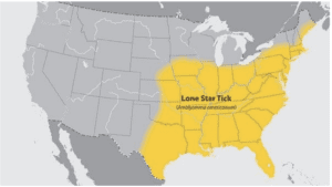 Lone Star Tick Locations